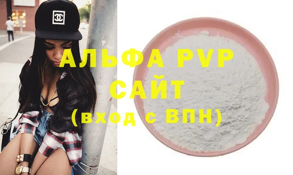 индика Арсеньев