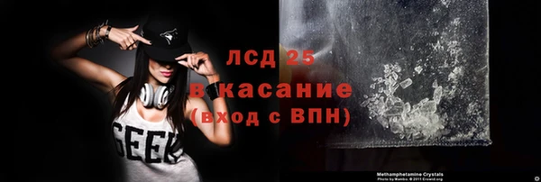 индика Арсеньев