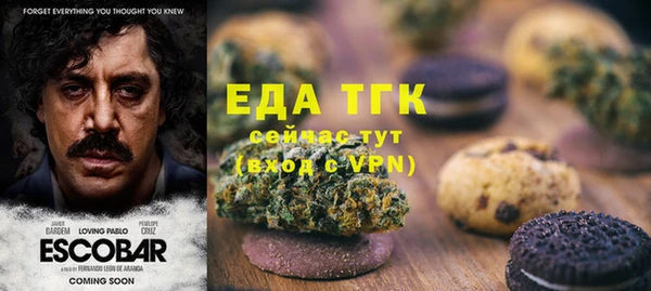 индика Арсеньев