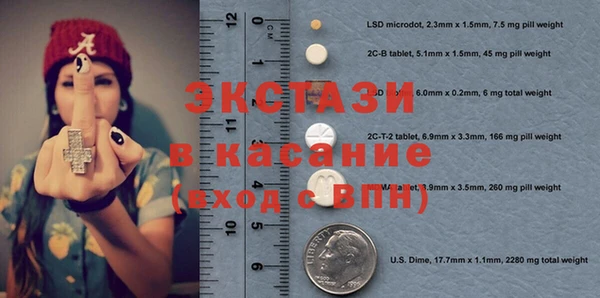 индика Арсеньев