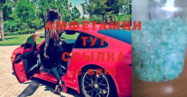 индика Арсеньев
